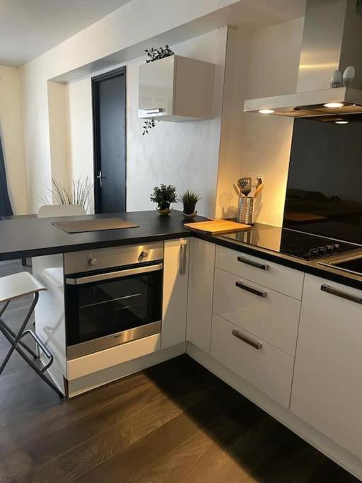 Le Cocon Des Horizons Apartment Rennes Exterior foto